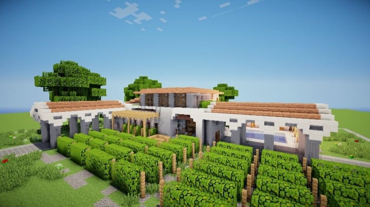 Mediterranean Wine Store  Grapes – Minecraft Building Inc