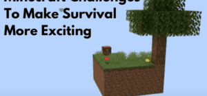 Minecraft Challenges