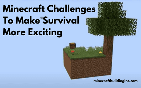 Minecraft Challenges