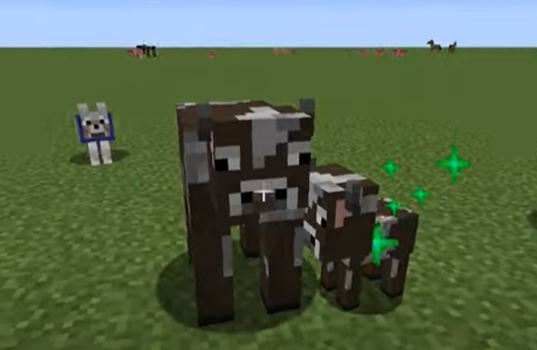 What Do Cows Eat In Minecraft?